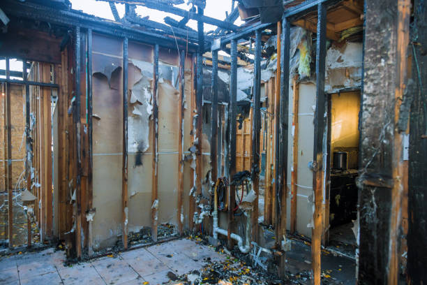 Professional Fire Damage Removal technician working in Panora, IA